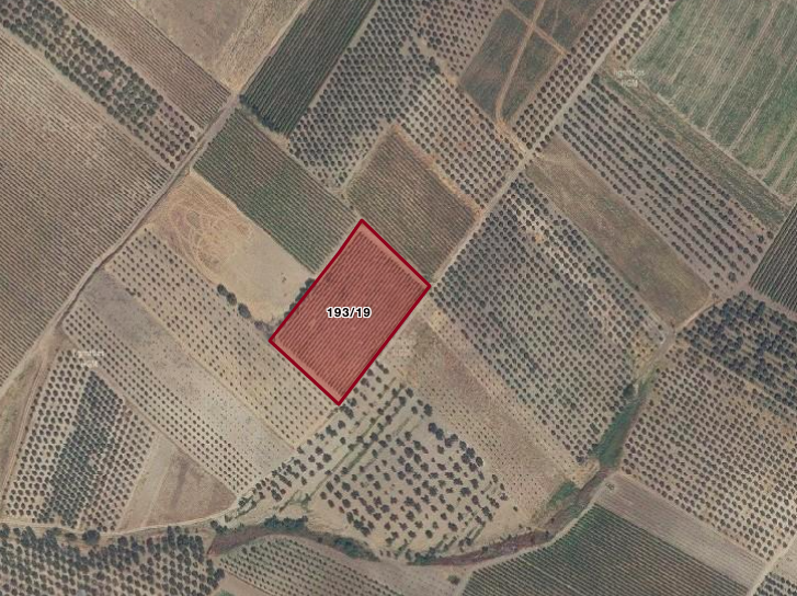 MANİSA SARUHANLI'DA 10.229 M2 SATILIK TARLA (101196456)